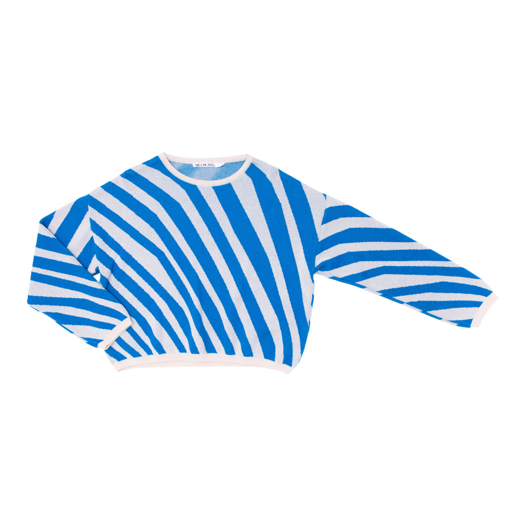 Zebra Sweater MiniMe // blue zebra // M // LAST ONE